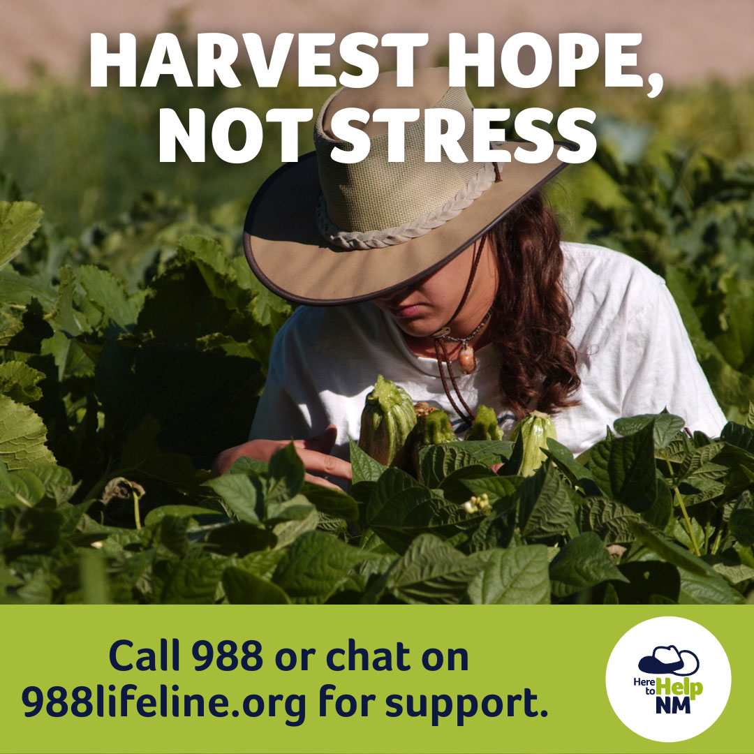 Here to Help graphic that states 'Harvest Hope, not Stress'