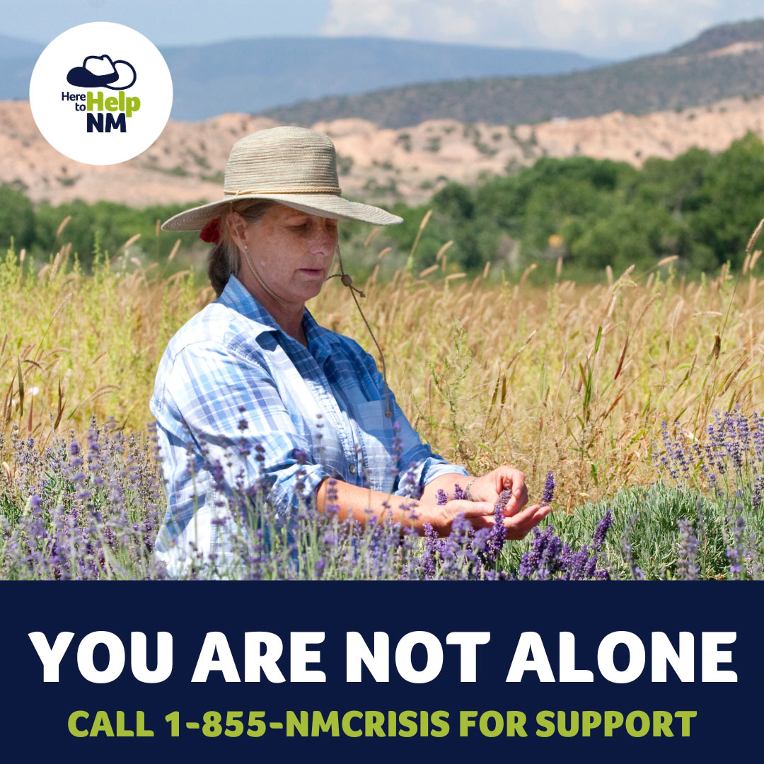 Here to Help graphic that states 'You are not alone'