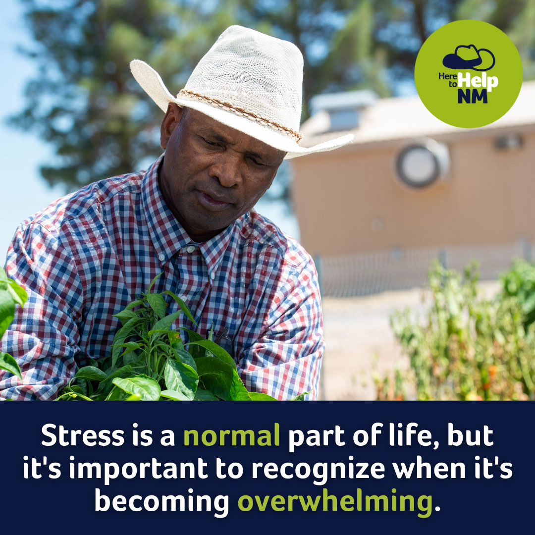 Here to Help graphic that states 'Stress is a normal part of life, but it's important to recognize when it's becoming overwhelming'